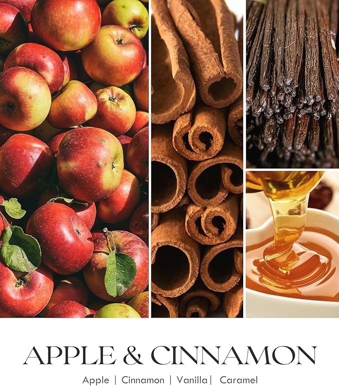 AOOVOO Apple Cinnamon Scented Candles for Women - Aromatherapy Candle with Crystals Inside, 10oz Soy Candles for Home Scented, Birthday Gifts Christmas Candle for Women Mom - Bloomnest