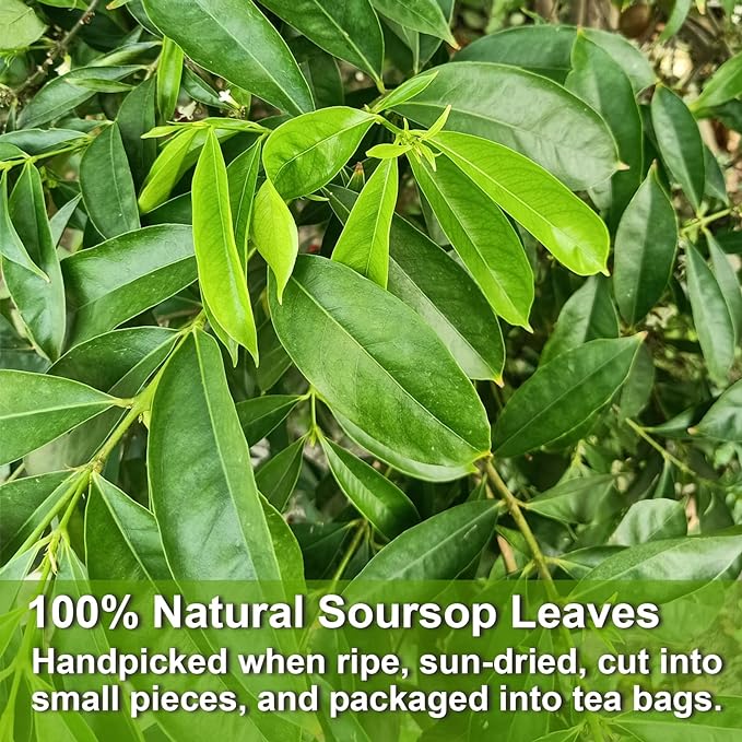 FullChea - Soursop Leaves Tea Bags, 40 Teabags - Premium Soursop Graviola Leaves - Hojas De Guanabana Tea - Non-GMO - Caffeine-free - Improve Digestion, Support Healthy Skin & Sleep - Bloomnest