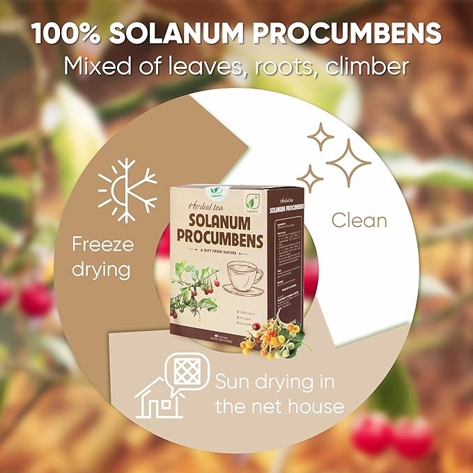 NMPT 100% Solanum Procumbens Leaf Tea, Hand Pick, Cà Gai Leo Organic Herbal Tea, 40 Count, Freeze Drying, Gluten Free, Dairy Free, No Sugar Added, Energy Boost & Health Support, 0.07 Oz Each - Bloomnest