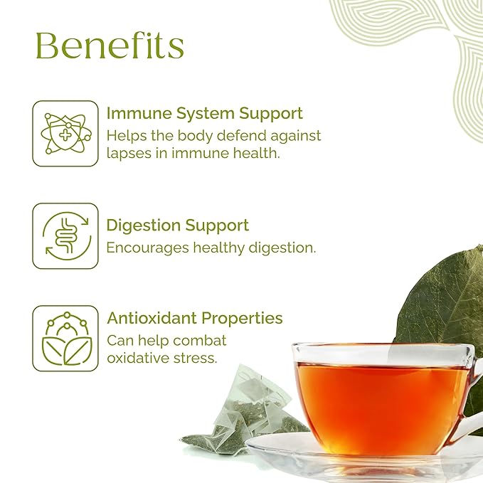 Organic Pharmacist Premium Soursop Tea Bags, Graviola Leaf Tea, Guanabana Teas, Guyabano Herbal Tea, Soursop Bitters Teas, Shredded Ground Leaves, 25 Count, New & Improved - Bloomnest
