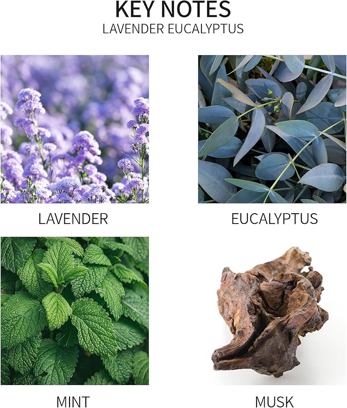 Airkeep Reed Diffuser Oil Refill with Diffuser Sticks, 6.76 Fl Oz(200ml) Lavender Eucalyptus Cotton Scented Oils, Aroma Therapy, Home Fragrance & Air Freshener, Office Décor, Decoration - Bloomnest