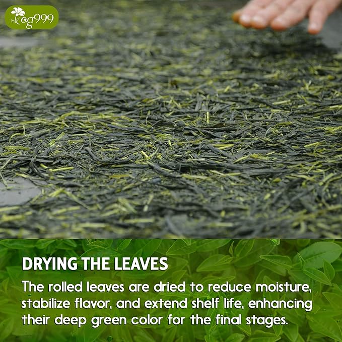 TOG999, Premium 60 Sencha Green Tea Bags, 100% Natural & Pure from Sencha Green Tea Leaves. Loose Leaf Sencha Herbal Tea. No Sugar, No Gluten, Vegan. - Bloomnest