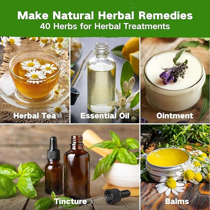 LUSH&DEW Medicinal Herb Gardening Gifts for Herbalists, Apothecary Seed Chest, 40 Varieties 36,000+ Non-GMO Heirloom Seeds for Planting Herbs in Raised Bed Windowsill, Survival Seed Kit for Herbal Tea