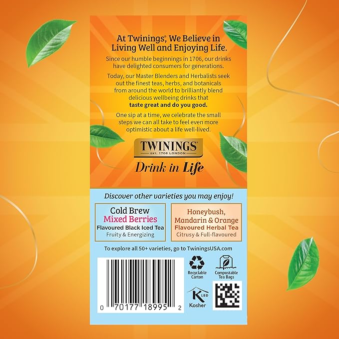 Twinings Peach Cold Brew Iced Tea Bags, 20 Count (Pack of 6), Unsweetened Flavoured Black Tea, Caffeinated, 120 Teabags - Bloomnest