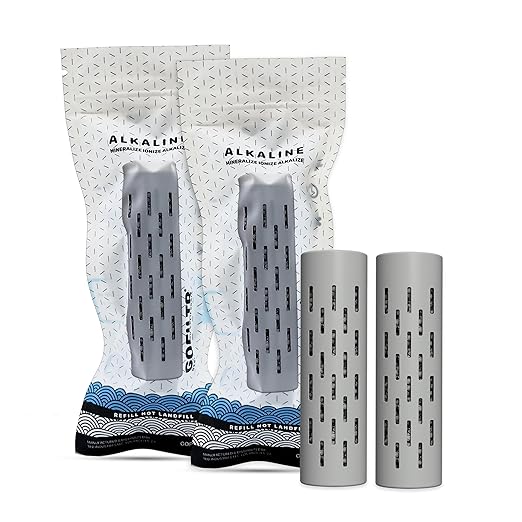GOFILTR Alkaline Water Infuser (Original 2 Pack) 9.5 pH + Electrolytes for Any Water Bottle/Small Pitcher, 750 Refills / 3 Months, 2 Ionized Mineral Water Infusers - Bloomnest