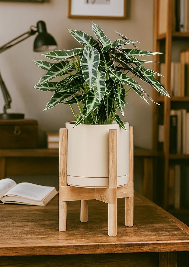 D'vine Dev Ceramic Planter with Natural Stand - 8 Inch Modern Round Flower Pot with Wood Planter Holder, Oatmeal, 55-B-N-8 - Bloomnest