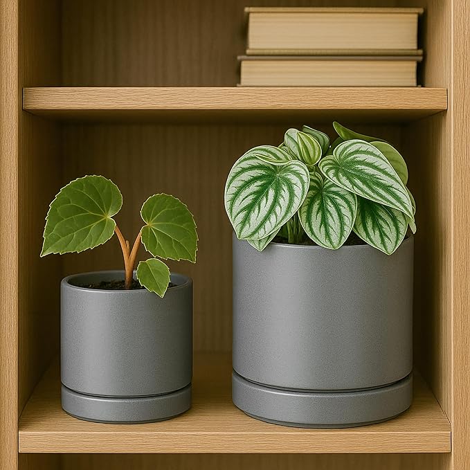 D'vine Dev 3.5 Inch & 4.7 Inch Ceramic Planter Pots for Plants with Drainage Hole and Saucer, X-Small Plant Pots Set, Speckled Grey, 94-G-XS-3 - Bloomnest