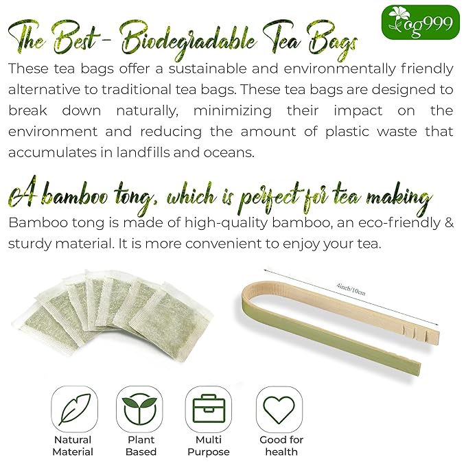 TOG999, Premium 120 Chanca Piedra Leaf Tea Bags, 100% Natural & Pure from Chanca Piedra Leaves. Loose Leaf Chanca Piedra Herbal Tea. Made with Natural Material Tea Bags. No Sugar, No Caffeine, No Gluten, Vegan. - Bloomnest