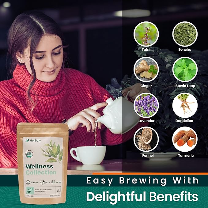 Herbaly Wellness Collection Organic Herbal Ginger Tea, 70 g, 28 Count Bag (Pack of 1) - Bloomnest