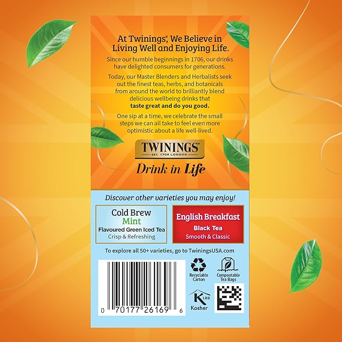 Twinings Mixed Berries Cold Brew Iced Tea Bags, 20 Count (Pack of 6), Unsweetened Flavoured Black Tea, Caffeinated, 120 Teabags - Bloomnest