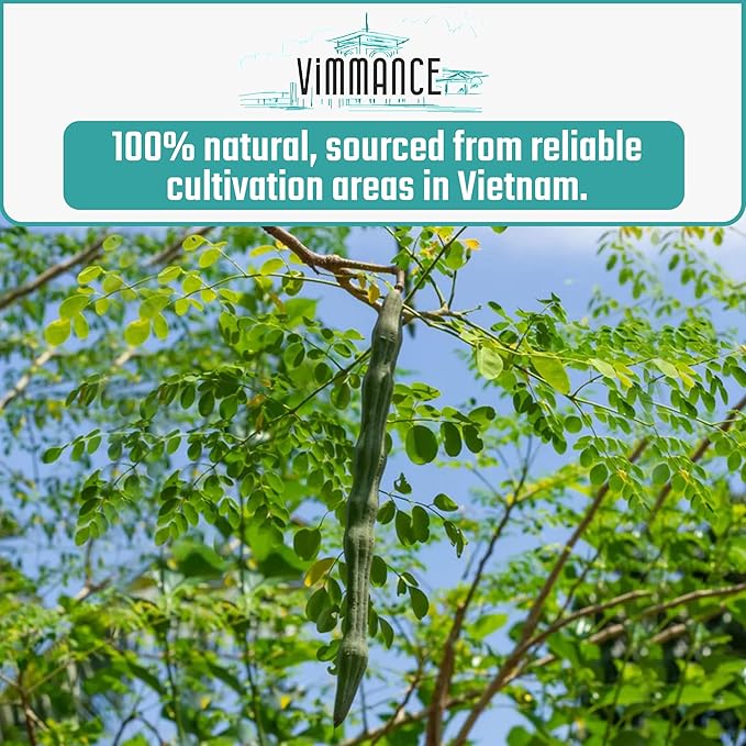 VIMMANCE Moringa Dried Leaves Tea Bags, 50 counts, Hojas de Oleifera, Vietnamese Herbal Tee, Miracle Tree Leafs, 100% Natural Leaf Teabags, Decaf, Sugar Free, Balance Taste - Bloomnest