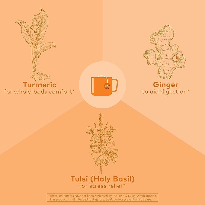 ORGANIC INDIA Tulsi Turmeric Ginger Herbal Tea - Stress Relieving & Harmonizing, Immune Support, Aids Digestion, Vegan, Caffeine-Free - 18 Infusion Bags, 6 Pack - Bloomnest