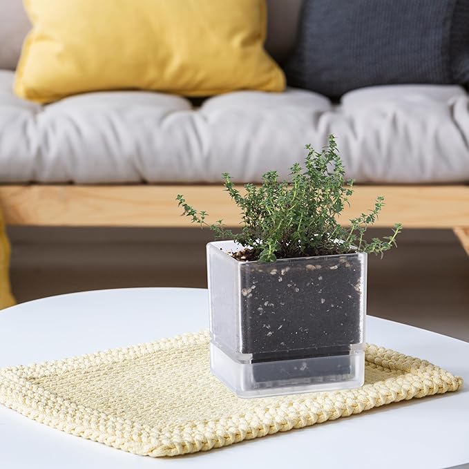 4 Inch Herb Planter Pot, Plastic Planter with Drainage Holes and Saucer, Modern Decorative Gardening Pot for Indoor Plants, Flowers, Herbs, Succulents, Clear, Set of 6, 76-Y-D-6 - Bloomnest