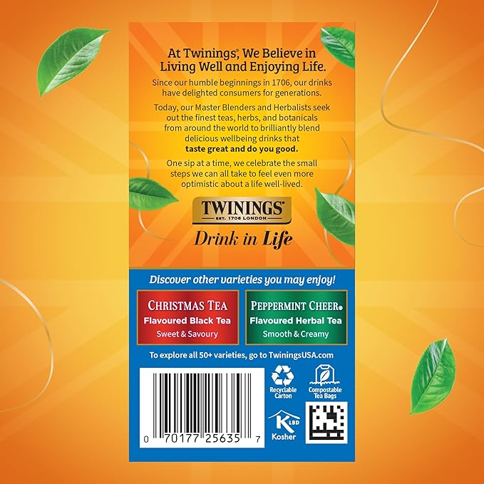 Twinings Winter Spice Herbal Tea Individually Wrapped, 20 Count (Pack of 6), Camomile, Apple, Cinnamon, & Clove, Caffeine-Free, Enjoy Hot or Iced, 120 Teabags - Bloomnest