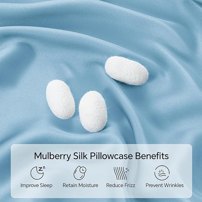 INFIIXSO Silk Pillow Cases 2 Pack Standard Size, Ultra Smooth & Soft Mulberry Silk Pillow Case for Hair and Skin, Breathable Cooling Silk Pillowcase with Hidden Zipper (Light Blue, 20x26 Inches) - Bloomnest