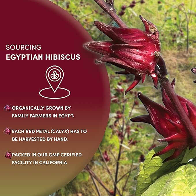 Worldwide Botanicals Organic Hibiscus Tea – 8 oz, Loose Leaf, Cut and Sifted – 100% Egyptian Hibiscus sabdariffa AKA Karkade, Roselle, Sorrel, Zobo, Flor de Jamaica - Bloomnest