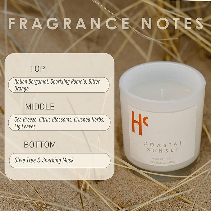 Coastal Sunset Single Wick Soy Candles, Luxury Scented Candles for Home - Up to 60 Hour Burn Time, Cruelty-Free Soy Wax Blend - Bergamot Fragrance, Notes of Pomelo & Orange (9 oz) - Bloomnest