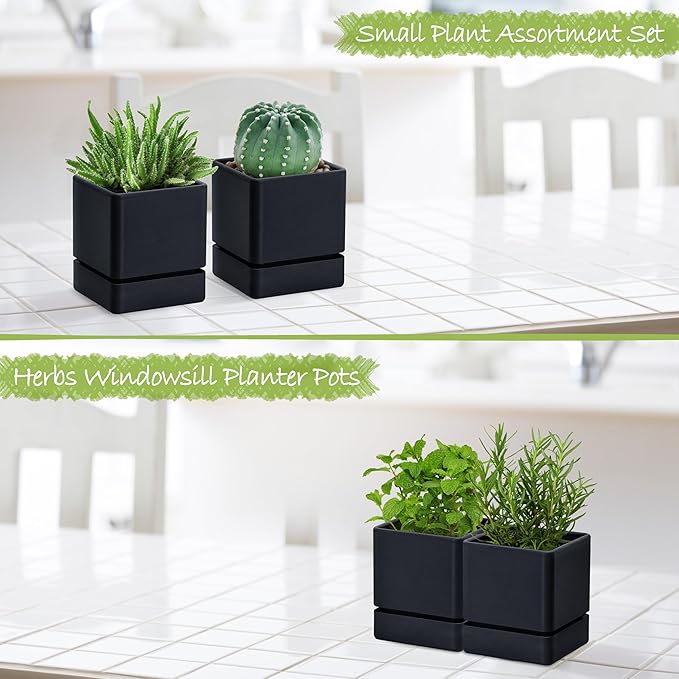 4 Inch Herb Planter Pot, Plastic Planter with Drainage Holes and Saucer, Modern Decorative Gardening Pot for Indoor Plants, Flowers, Herbs, Succulents, Black, Set of 2, 76-Y-B-2 - Bloomnest