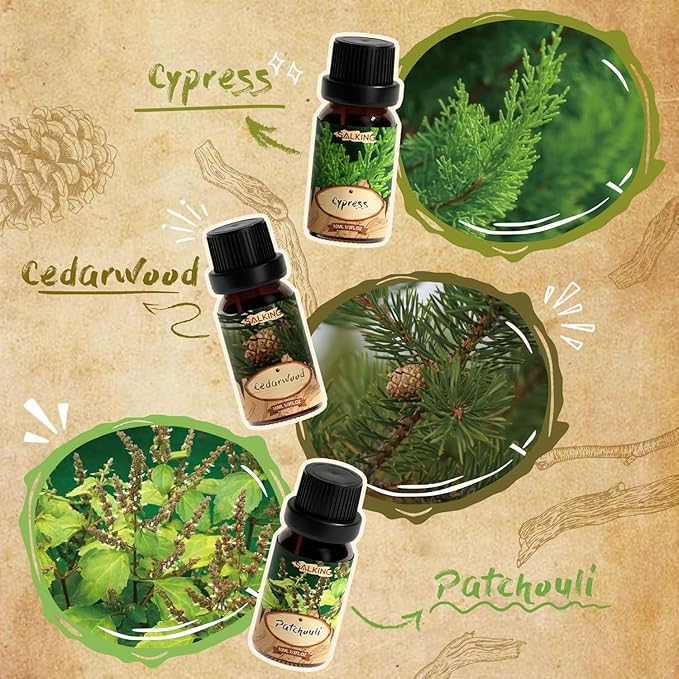 SALKING Woody Essential Oils Gift Set, Natural and Pure Aromatherapy Fragrance Oils for Diffuser, Humidifier, Massage- Frankincense, Teakwood, Sandalwood, Cypress, Cedarwood, Patchouli - Bloomnest