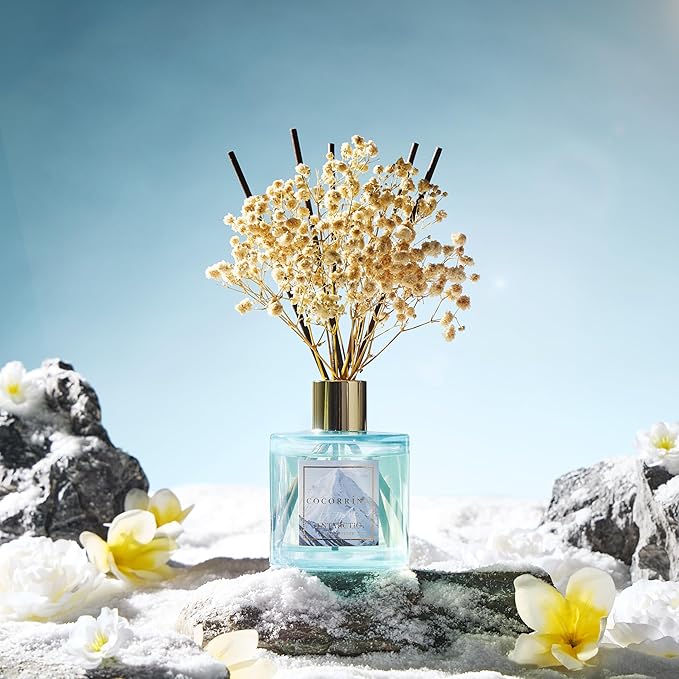 COCORRÍNA Reed Diffuser - Antarctic 6.7 Fl.oz Reed Diffuser Set with 8 Sticks & Preserved Baby's Breath, Reed Diffuser for Home Bathroom Shelf Decor - Bloomnest