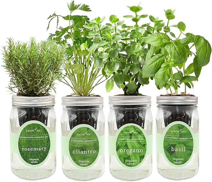 Hydroponic Mason Jar Organic Herb Seed Starter Kits - Mediterranean Herb Mix Growing Kits, Windowsill Herb Garden, Gardening Gift (Rosemary, Cilantro, Oregano, Basil) - Bloomnest