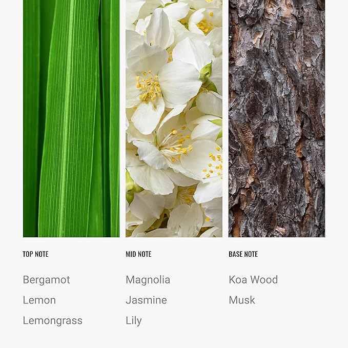 Hotel Collection Diffuser Oil - 24K Magic - Aromatherapy Essential Fragrance Oil - Citrus, Lemongrass, and Jasmine - 50mL 1.7 Fl oz - Bloomnest