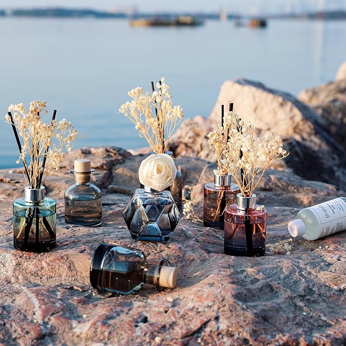 Brakula 2 Pack Reed Diffuser, Eucalyptus & Wild Mint + Lavender Eucalyptus (3.38 fl oz Each Pack), Home Fragrance with 12 Sticks, Shelf Decor, Reed diffusers for Home