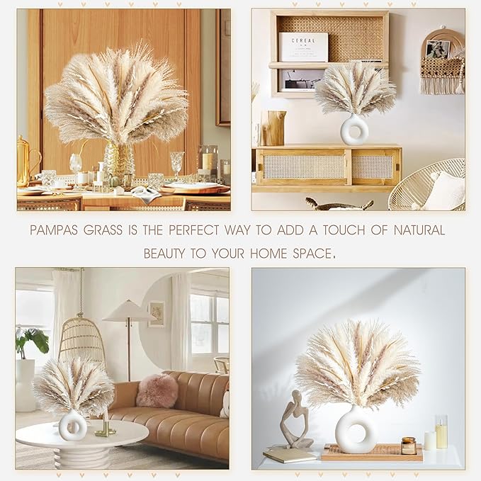70PCS Natural Dried Pampas Grass Boho Home Decor Bouquet Phragmites Dried Flowers Bouquet for Wedding Floral Arrangements Home Decorations (70PCS) - Bloomnest