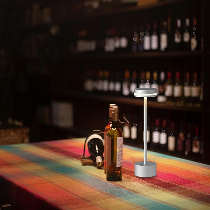 Cordless Table Lamp, Portable Rechargeable Bedside Lamp, Touch Stepless Dimmable Desk Lamp, for Home Bedroom Hotel Restaurant Bar Outdoor, 2 Set, Silver - Bloomnest