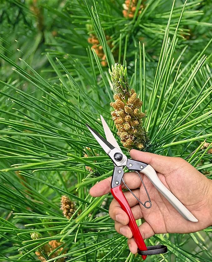 Double-Edge Garden Shears Micro-Tip Pruning Shears Extra Heavy Straight Garden Scissors Effortless Cuts Pruning Shears for Gardening Clippers for Plant Herb Flower Harvesting Fruits vegetables - Bloomnest