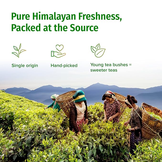 NEPAL TEA Organic Green Tea Loose Leaf - From a Family Farm in the Himalayas - Award-Winning Premium Green Tea Leaves Loose Leaf - 3.5oz /100g (Ganesha Green) - Bloomnest