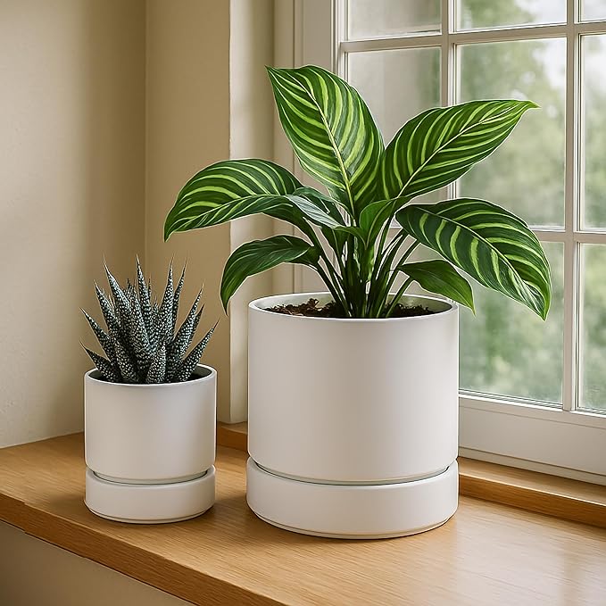 4 Inch Modern Plastic Round Pots for Indoor Houseplants and Herbs, Pack of 3 Planter Pot with Drainage Hole & Saucer, Deep Water Catch Tray, Straight Cylindrical Pot for Plants, Matte White, 23-D-R-1 - Bloomnest