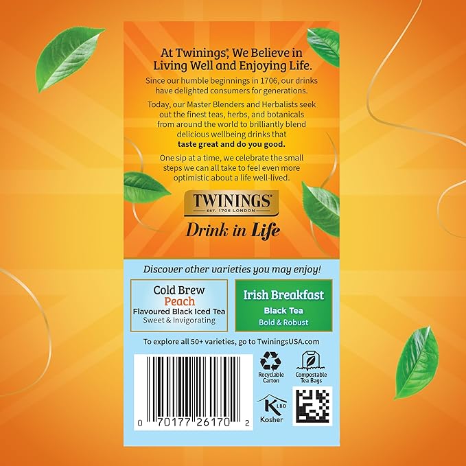 Twinings Mint Green Cold Brew Iced Tea Bags, 20 Count (Pack of 6), Unsweetened Flavoured Green Tea, Caffeinated, 120 Teabags - Bloomnest