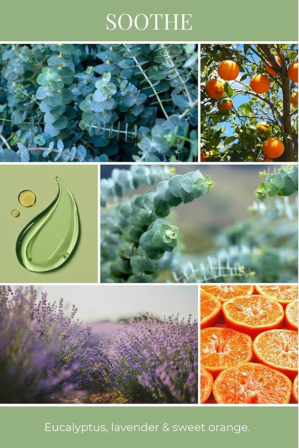 ECO CANDLE CO. Essentials Candle, Soothe, 8 oz. - Scents of Lavender, Eucalyptus, & Orange - 100% Soy Wax, No Lead, Hand Poured, Phthalate Free, Made from Midwest Grown Soybeans, All Natural Wicks - Bloomnest