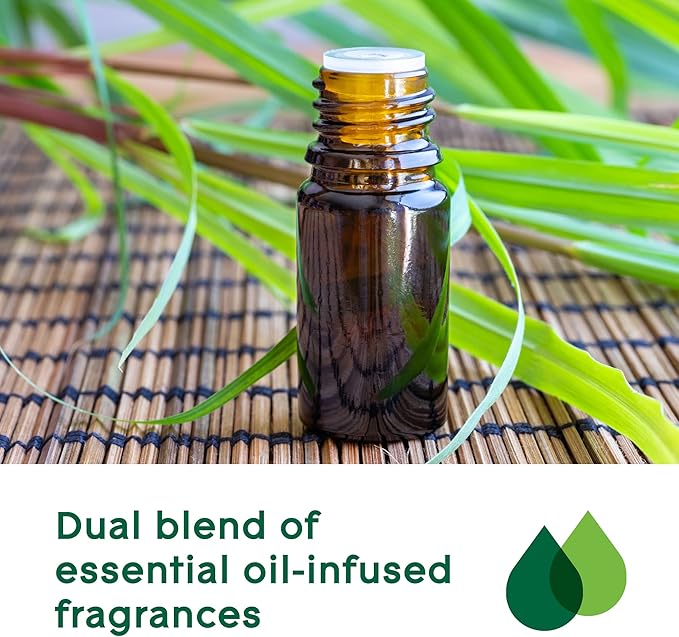 Glade Aromatherapy Diffuser & Essential Oil, Air Freshener for Home, Find Clarity Scent with Notes of Bergamot & Lemongrass, 0.56 Fl Oz - Bloomnest