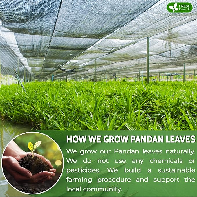 FreshDrinkUS, Premium 2oz Natural Pandan Leaves Dried, 100% Pure Dried Pandan Leaves, Pandan Leaf Tea, No Additives, No Caffeine, Vegan (2 oz Dried Leaves) - Bloomnest