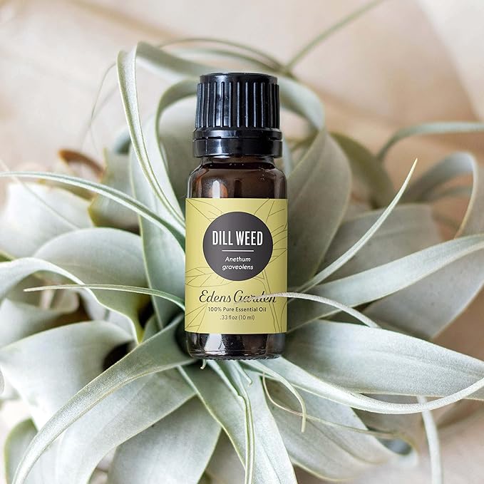 Edens Garden Dill Weed Essential Oil- 100% Pure Premium Grade, Undiluted, Natural, Therapeutic, Aromatherapy, The Best for Diffuser, Skin, Humidifiers, Kid Safe 30 ml (1 fl oz) - Bloomnest