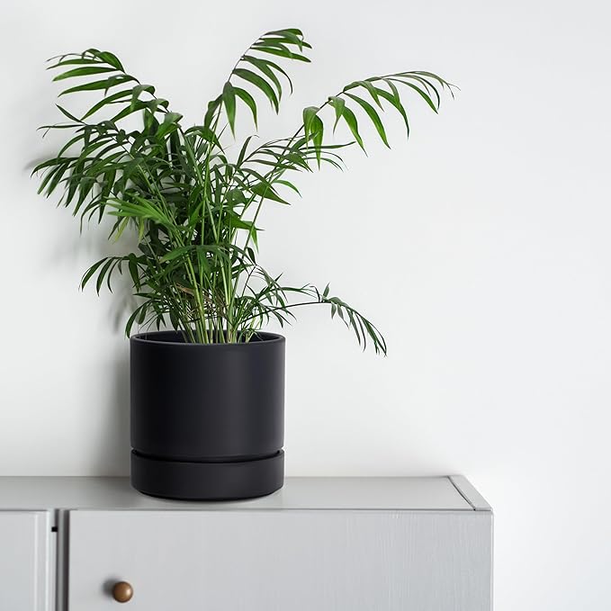 6 Inch Modern Plastic Round Pots for Indoor Houseplants and Herbs, Pack of 3 Planter Pot with Drainage Hole & Saucer, Deep Water Catch Tray, Straight Cylindrical Pot for Plants, Matte Black, 23-D-S-2 - Bloomnest