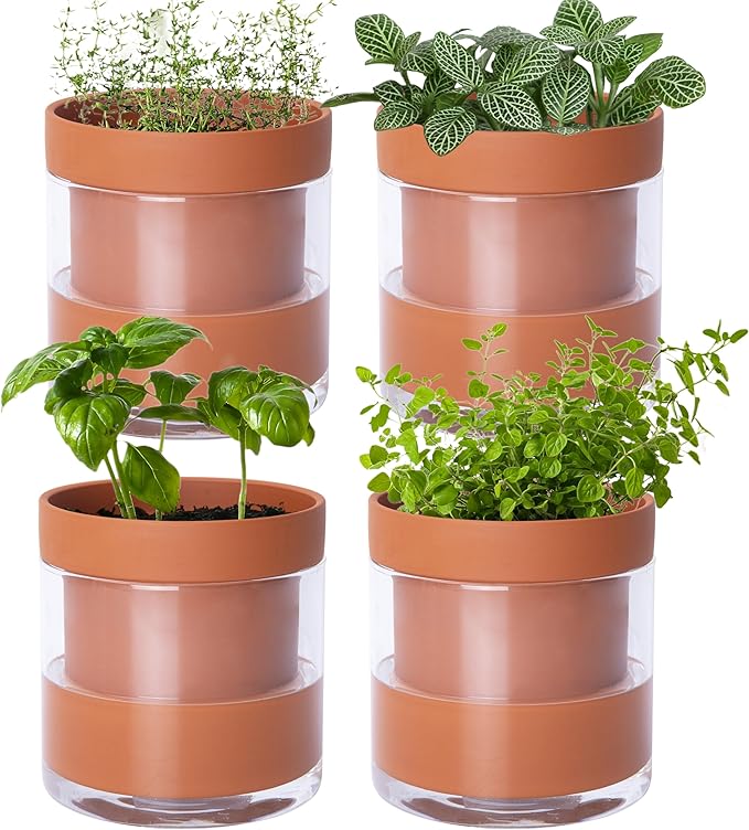Phoenix Vine 4 Inch Self Watering Planter Pot, Terracotta Clay Pot with Glass Reservoir for Indoor Plants, Herbs, Flowers, Set of 4, 52-A-E-4 - Bloomnest
