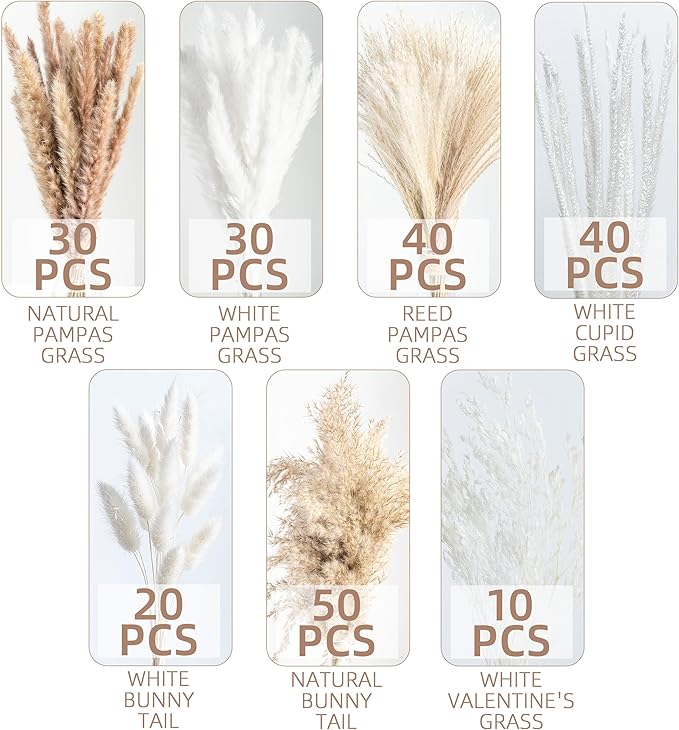 220PCS Natural Dried Pampas Grass Boho Home Decor Bouquet Phragmites Dried Flowers Bouquet for Wedding Floral Arrangements Home Decorations (220PCS) - Bloomnest