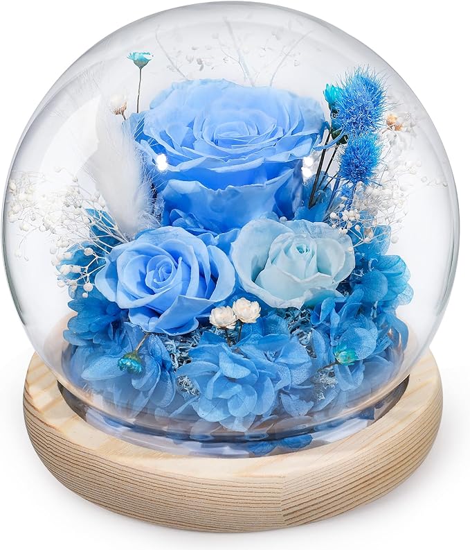FIACO Preserved Rose Birthday Gift for Women Forever Fresh Flowers for Prime Delivery Gift for Mom Grandma Wife Valentines Mothers Day Christmas Anniversary Eternal Roses in Glass Dome - Bloomnest