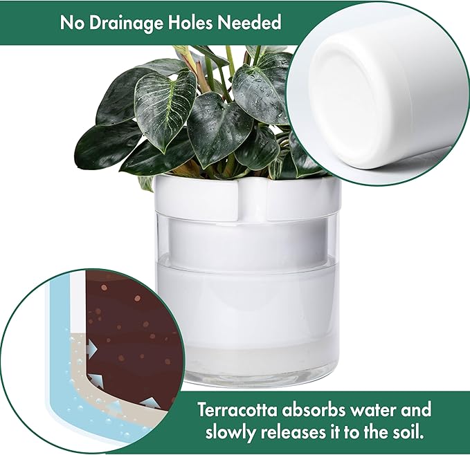 Phoenix Vine 10 Inch Self Watering Planter, White Terracotta Clay Pot with Glass Reservoir for Indoor Plants, Herbs, Flowers, Set of 1, 52-B-I-1 - Bloomnest