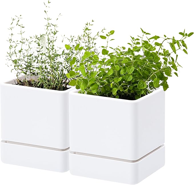 4 Inch Herb Planter Pot, Plastic Planter with Drainage Holes and Saucer, Modern Decorative Gardening Pot for Indoor Plants, Flowers, Herbs, Succulents, White, Set of 2, 76-Y-A-2 - Bloomnest