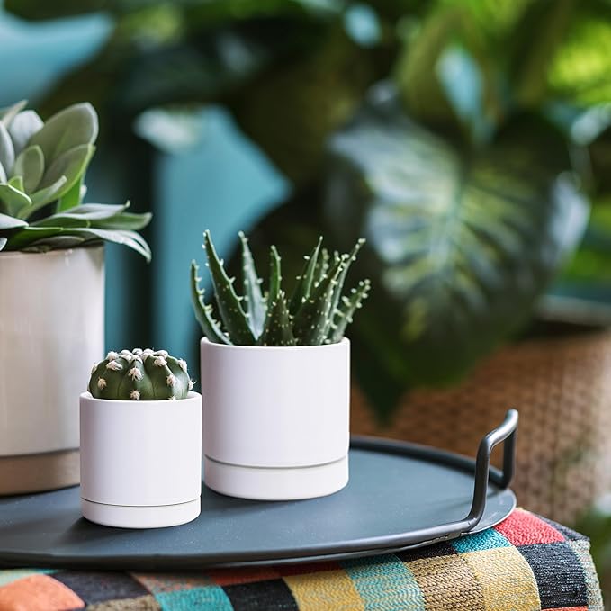 D'vine Dev 3.5 Inch & 4.7 Inch Ceramic Planter Pots for Plants with Drainage Hole and Saucer, X-Small Plant Pots Set, White, 94-G-XS-1 - Bloomnest