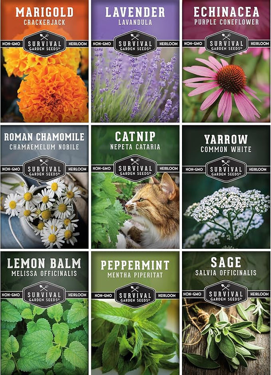 Medicinal Tea Herb Seeds for Planting | 9 Variety Pack of Heirloom, Non-GMO Herbs – Grow Herbal Teas, Natural Remedies – Home Apothecary Garden Kit – Survival Garden Seeds