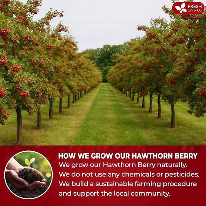 FreshDrinkUS, 16oz Premium Dried Hawthorn Berries – All-Natural, Non-GMO, Perfect for Tea, Smoothies, Baking & Snacking – Healthy, Versatile Superfood - Bloomnest