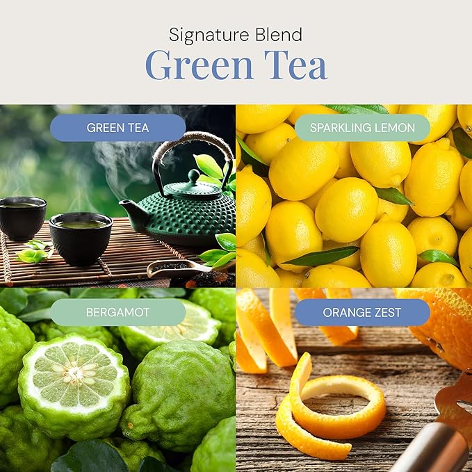 Green Tea Aroma Oil, Essential Oils Blend for Diffusers & Scent Machines, Citrus, Delicate Florals, Warm Tea, Aromatherapy, Cold Air Diffuser Compatible, 300 mL - Bloomnest