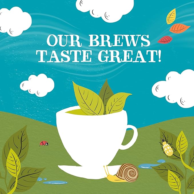 Clipper Tea, Organic Fairtrade Everyday, Organic, USDA Non-GMO, Fair Trade, Sustainable Caffeinated Tea, 1 Pack, 80 Unbleached Tea Bags - Bloomnest