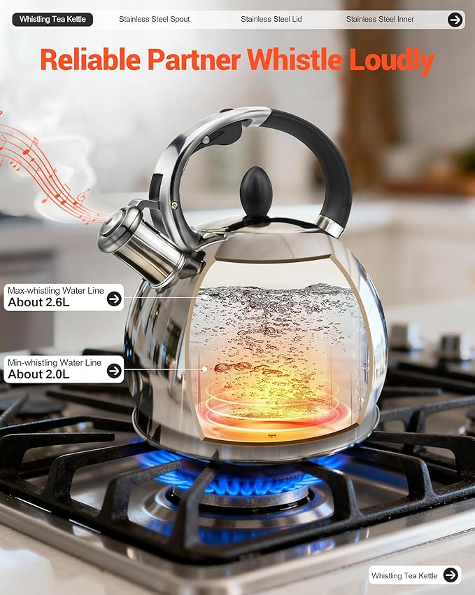 Whistling Tea Kettle for Stovetop, (2.64 Quart-Mirror） Food Grade Stainless Steel Teapot of 5-layer base - Bloomnest
