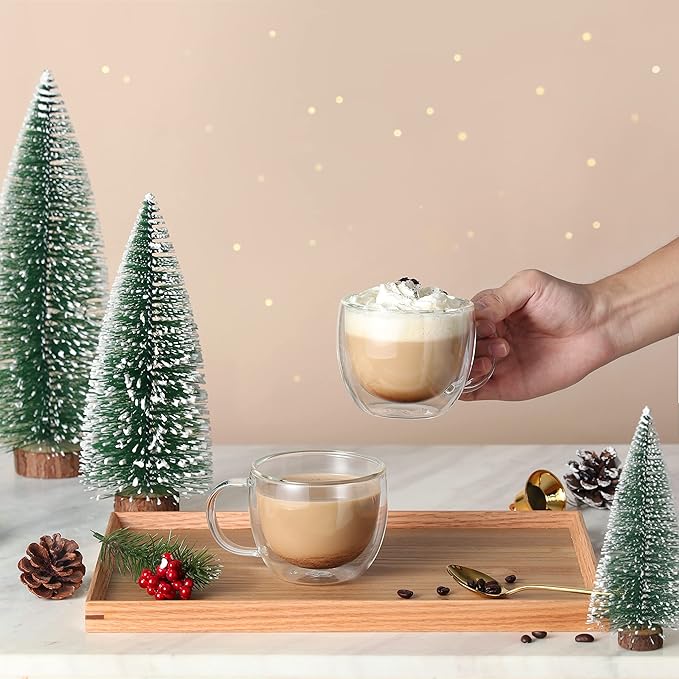 CNGLASS Double Wall Glass Cappuccino Mugs 8.1oz,Clear Insulated Glass Coffee Mug with Handle for Espresso,Latte,Tea,Set of 2 - Bloomnest